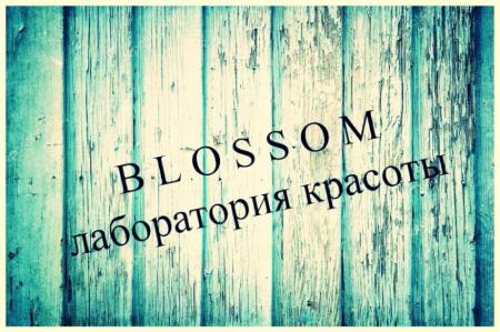 Фотография Blossom 0